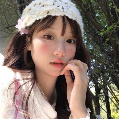 极道之妻2